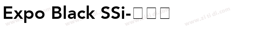 Expo Black SSi字体转换